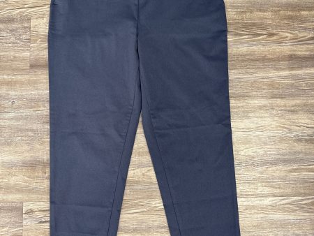 Pants Designer By Ministry Of Supply In Blue, Size: 10 Cheap