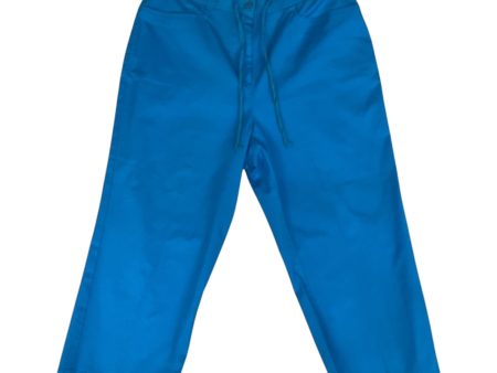 Pants Cropped By Sag Harbor In Teal, Size: 16 For Sale