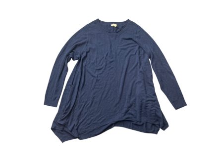 Tunic Long Sleeve By Eileen Fisher In Blue, Size: 1x For Cheap